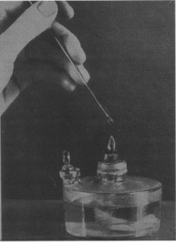Рисунок 3. Расплавление хромовой кислоты в жемчужину для хемокаустики поверхности слизистой оболочки (из учебника Seiffert, 1936)