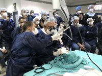 29 октября 2020. Третий день диссекционного курса в Анталии был посвящен микрохирургии уха